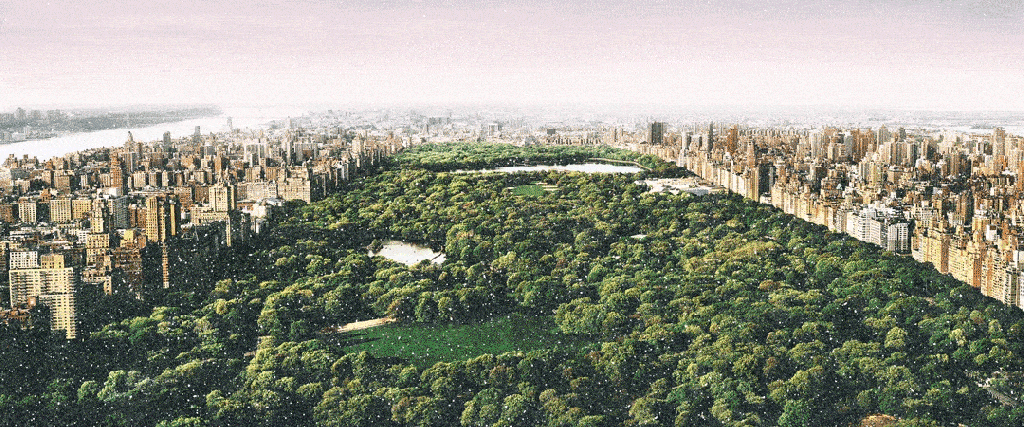 david Drebin - Dreams of Central Park Diamond Dust
