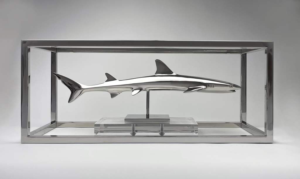 White Tip Shark - Christopher Shultz