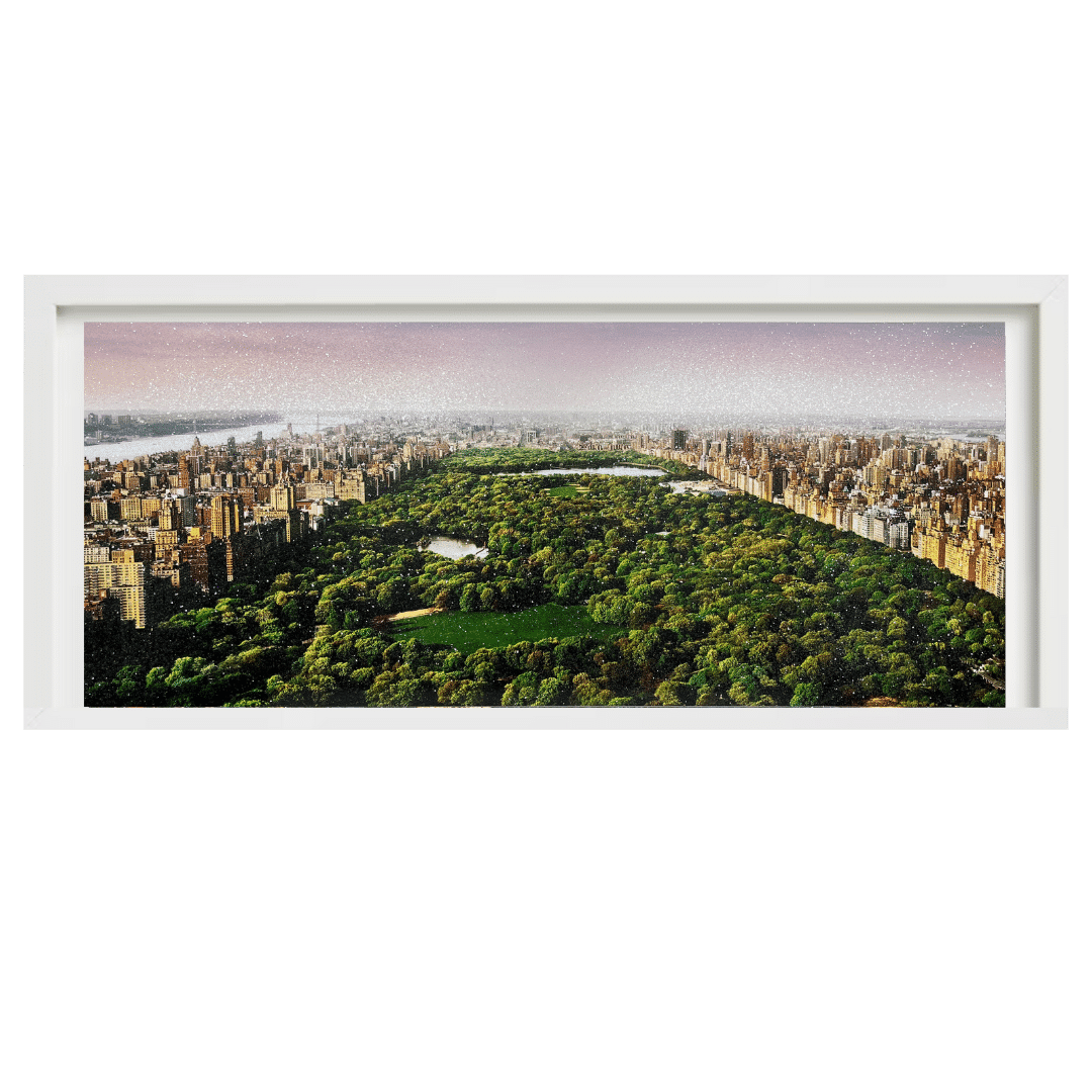 David Drebin - Dreams of Central Parkframed